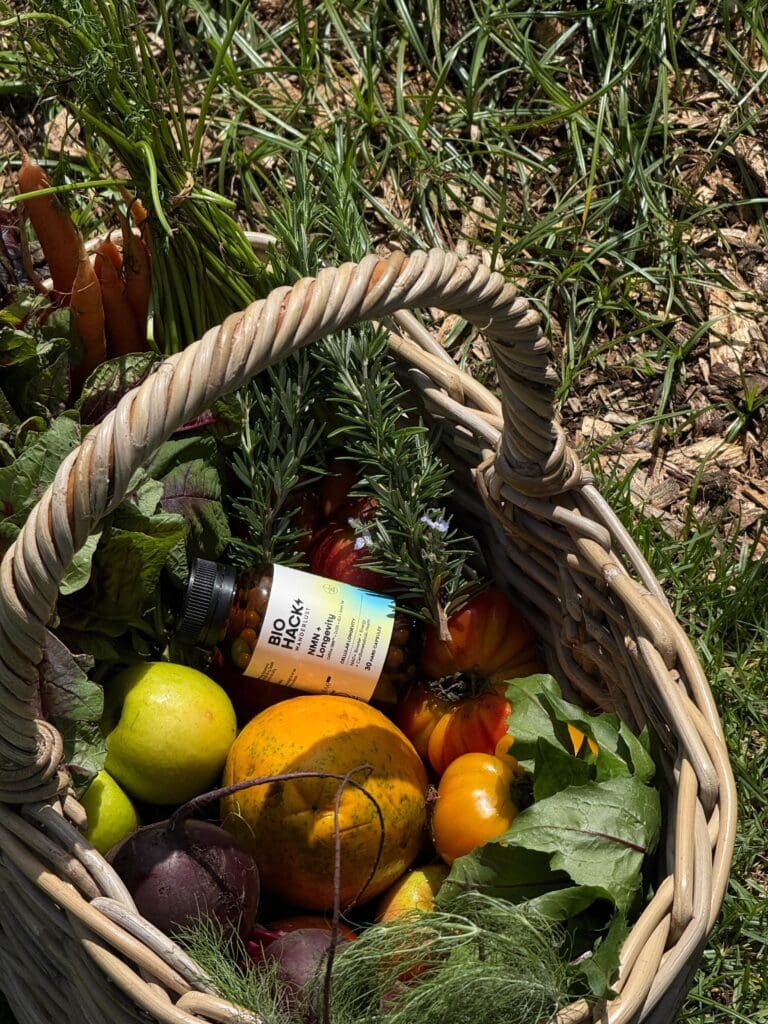 What Is NMN and Why Is Everyone Talking About NAD⁺?